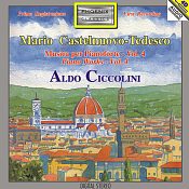 Click per ingrandire