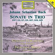 Click per ingrandire